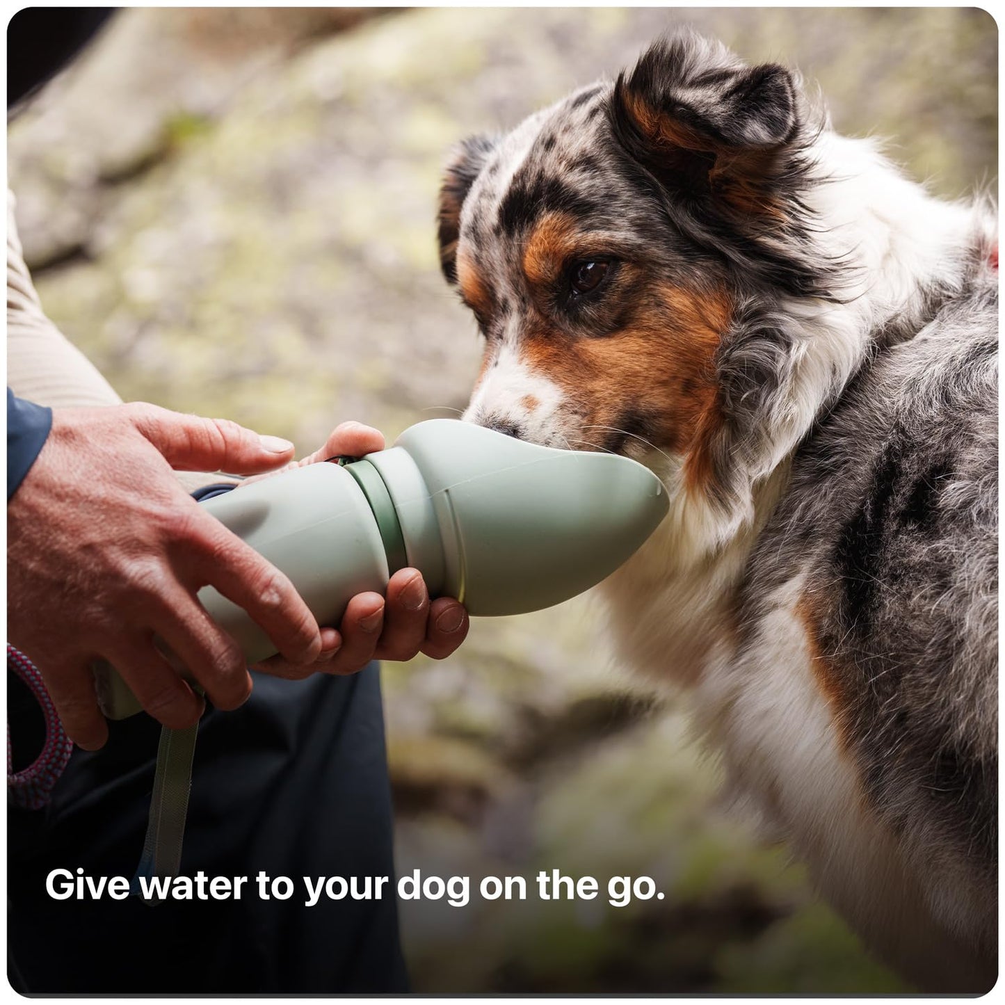 SÄKER Portable Dog Water Bottle, Collapsible Water Bottle for Dogs Perfect for Walking, Hiking and Outdoors | Works as a Portable Water Bowl | Designed in Montreal - 550ml