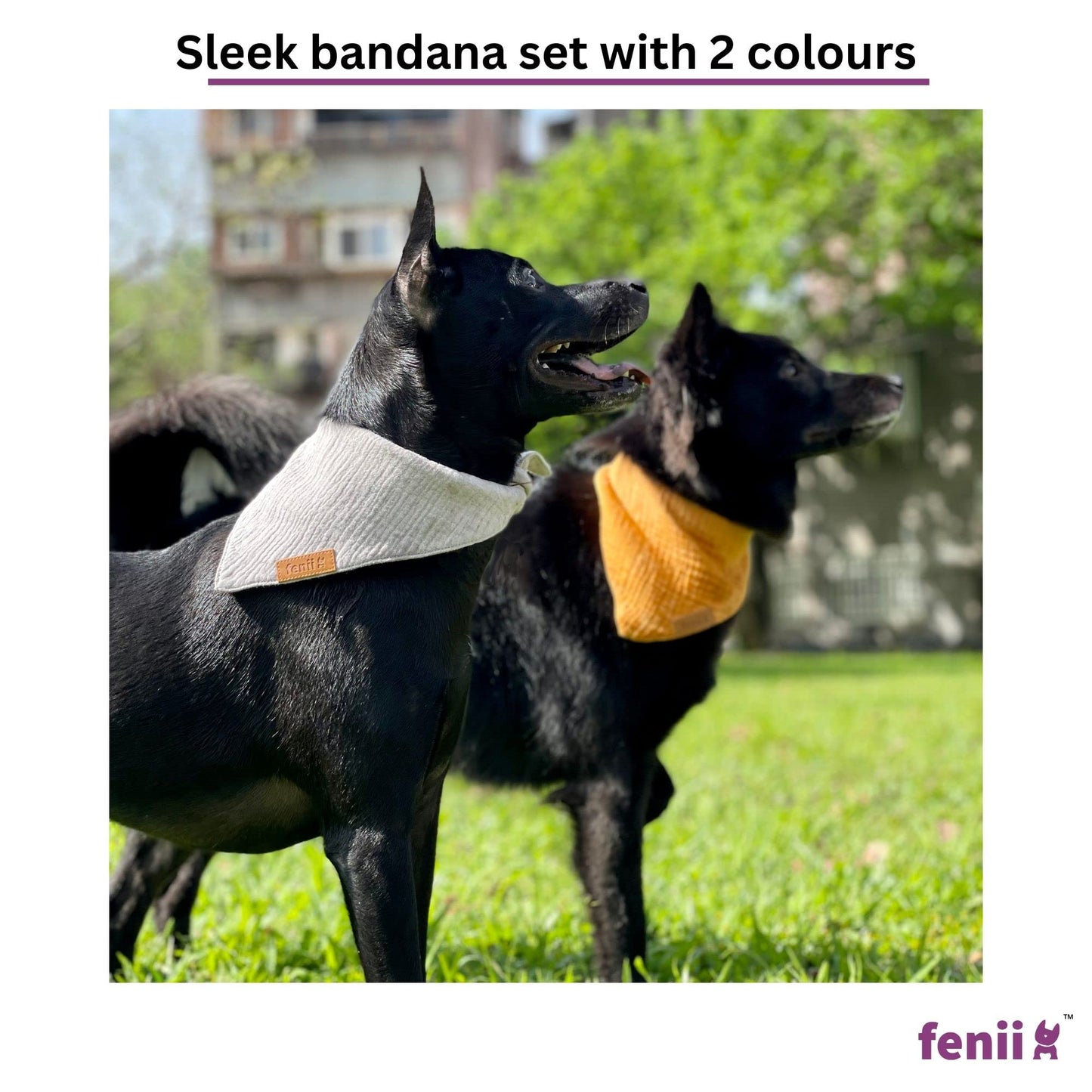fenii - Premium Cotton Dog Bandanas - 2 Pack - Adjustable Fit - Washable - for Small, Medium & Large Breeds - Girl & Boy Dog Accessories - Multiple Sizes (Bumblebee Yellow & Pebble Gray, X-Large)