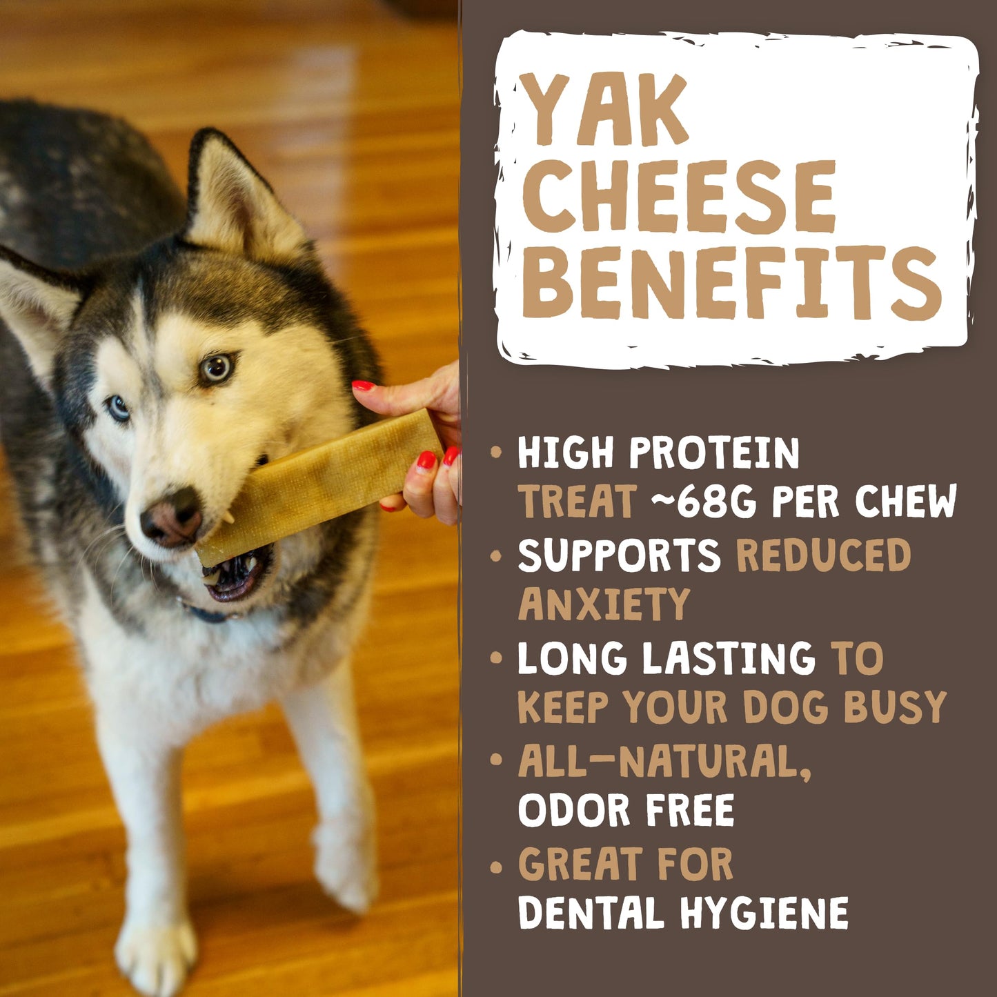 Mighty Paw Yak Cheese Chews for Dogs, All Natural Long Lasting Pet Treats. Odorless & Great for Oral Health. Limited Ingredient Chews for Puppies & Power Chewers (Medium, 12 Pack)1 Count (Pack of 1)