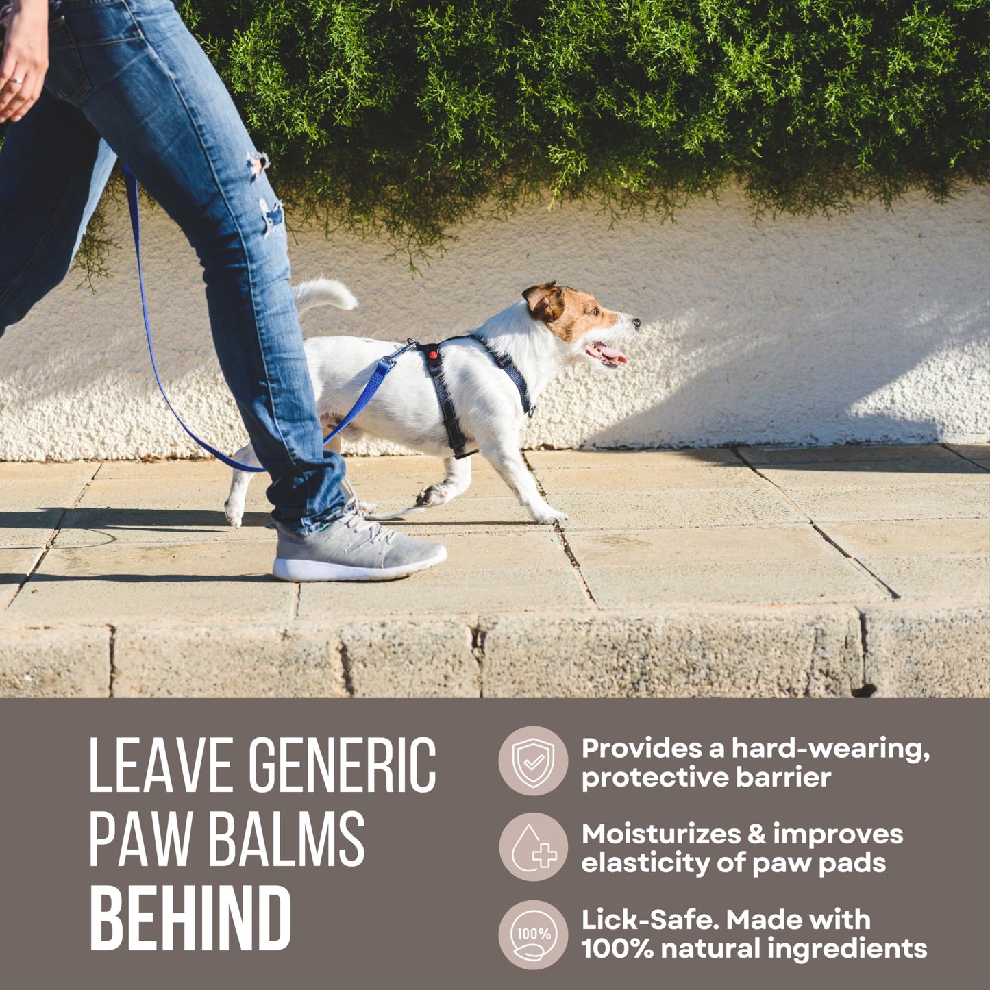 Rhino Wax - Dog Paw Street Wax 2oz - Use Before Taking Dogs on Hot Streets or Pavement - Balm Protects Against Hot Surfaces, Rocks & Road Debris - Moisturizes and Improves Elasticity - Lick-Safe - USA