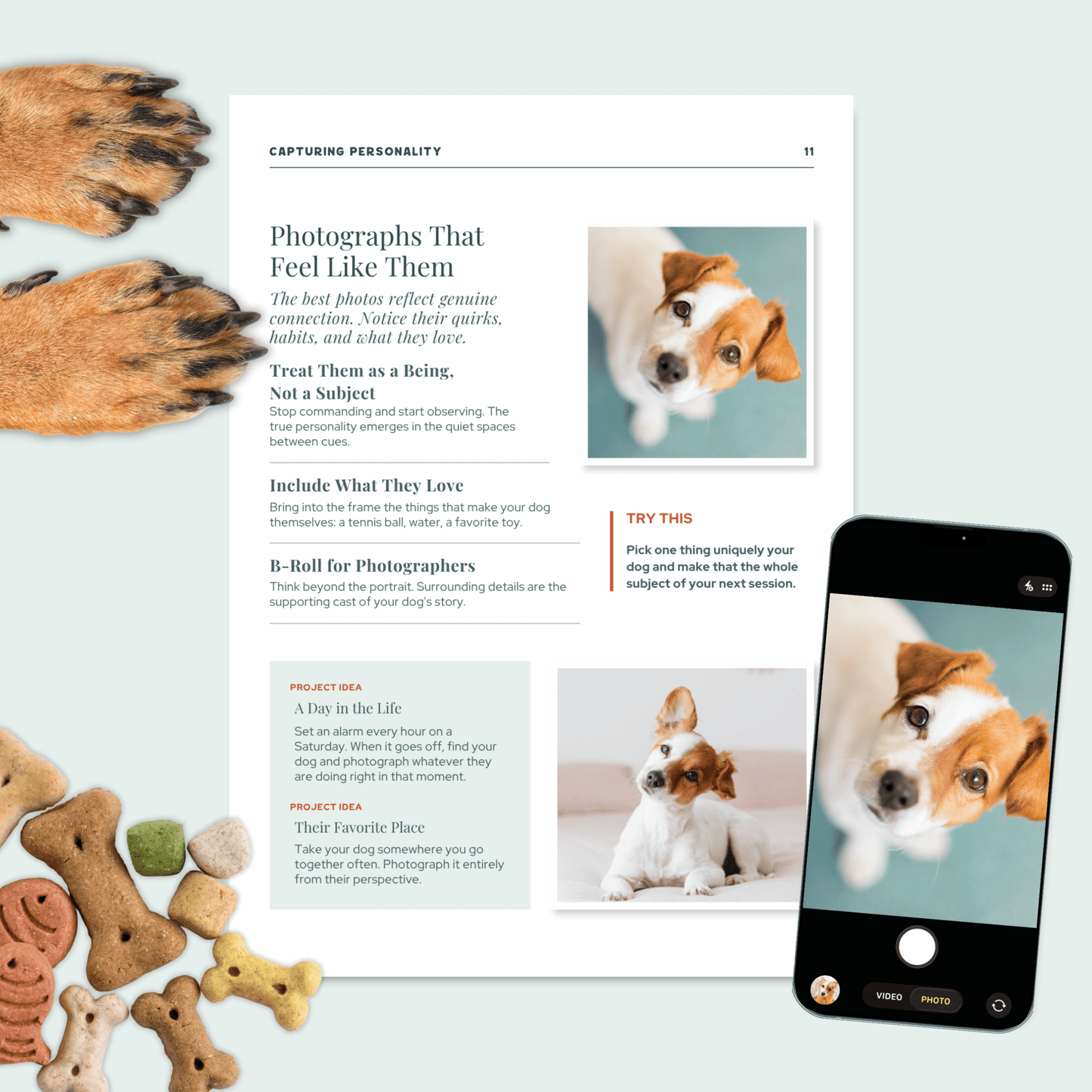 Paws, Focus, Shoot! Photography Guide for Dog-Lovers