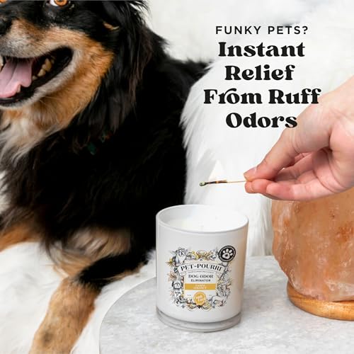 Pet-Pourri Canine Coconut Dog Deodorizer Candle – Puppy & Dog Safe – Plant Based Ingredients & Wax – Vet Approved – Aromatherapy & Air Freshener for Pet Odor – Scented with Bamboo, Jasmine & Pear