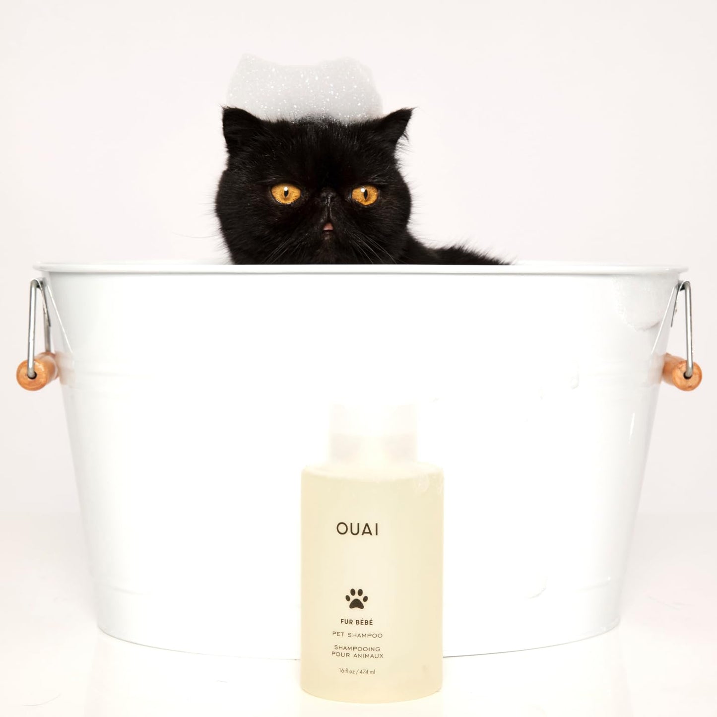OUAI Fur Bébé Pet Shampoo, Mercer Street Scent - Dog Shampoo and Coat Wash for Hydrating, Cleansing and Adding Shine - Pet Supplies by OUAI (16 Fl Oz)