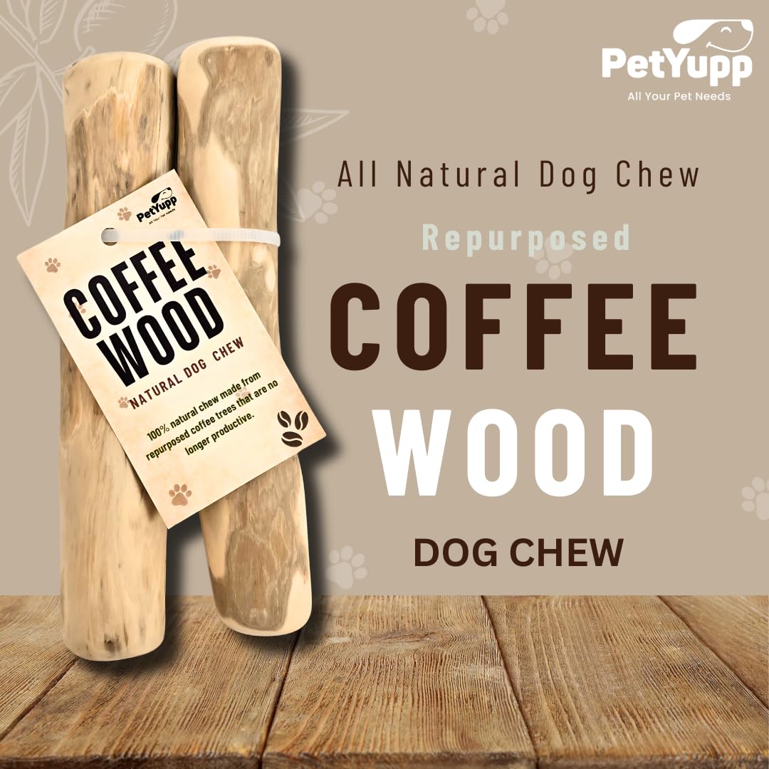 PetYupp Natural Coffee Wood Dog Chew Medium, 2 Count - Promotes Dental Health, Reduces Tartar & Chewing Exercise for Aggressive Chewers, Small, Medium & Large Dogs - Safe Chew Toy for Puppy