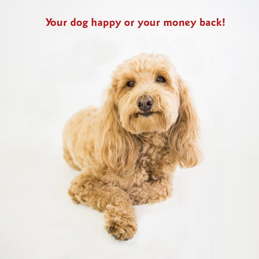 Majestic Pet Rectangle Large Dog Bed Washable – Non Slip Comfy Pet Bed – Dog Crate Bed with Removable Washable Cover – Dog Kennel Bed for Sleeping - Dog Bed Large Breed 44x36x5 Inch – Sand Beige