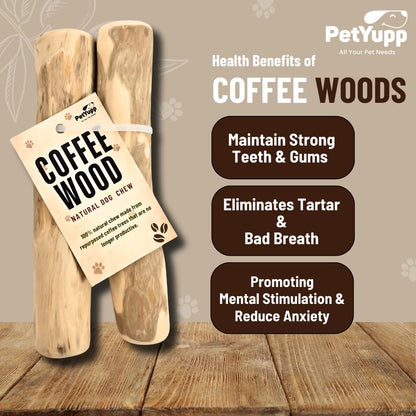 PetYupp Natural Coffee Wood Dog Chew Medium, 2 Count - Promotes Dental Health, Reduces Tartar & Chewing Exercise for Aggressive Chewers, Small, Medium & Large Dogs - Safe Chew Toy for Puppy
