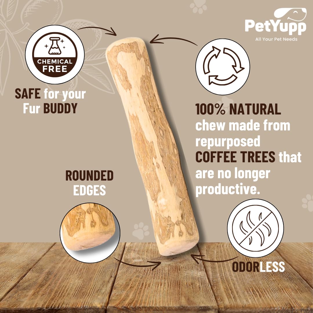 PetYupp Natural Coffee Wood Dog Chew Medium, 2 Count - Promotes Dental Health, Reduces Tartar & Chewing Exercise for Aggressive Chewers, Small, Medium & Large Dogs - Safe Chew Toy for Puppy