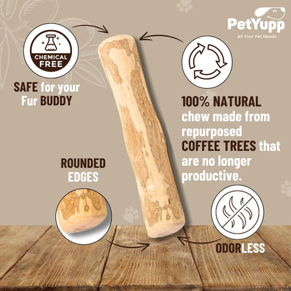 PetYupp Natural Coffee Wood Dog Chew Medium, 2 Count - Promotes Dental Health, Reduces Tartar & Chewing Exercise for Aggressive Chewers, Small, Medium & Large Dogs - Safe Chew Toy for Puppy