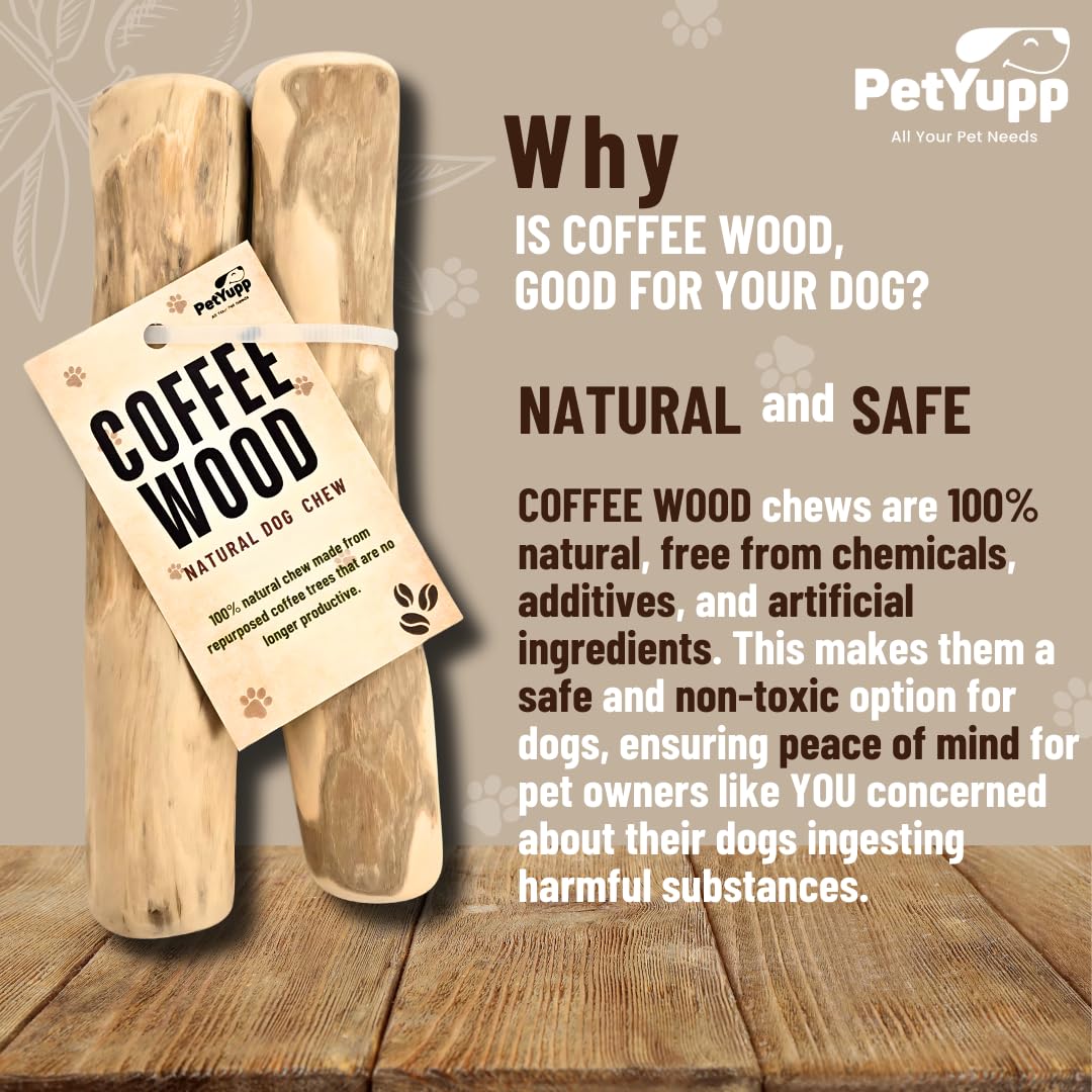 PetYupp Natural Coffee Wood Dog Chew Medium, 2 Count - Promotes Dental Health, Reduces Tartar & Chewing Exercise for Aggressive Chewers, Small, Medium & Large Dogs - Safe Chew Toy for Puppy