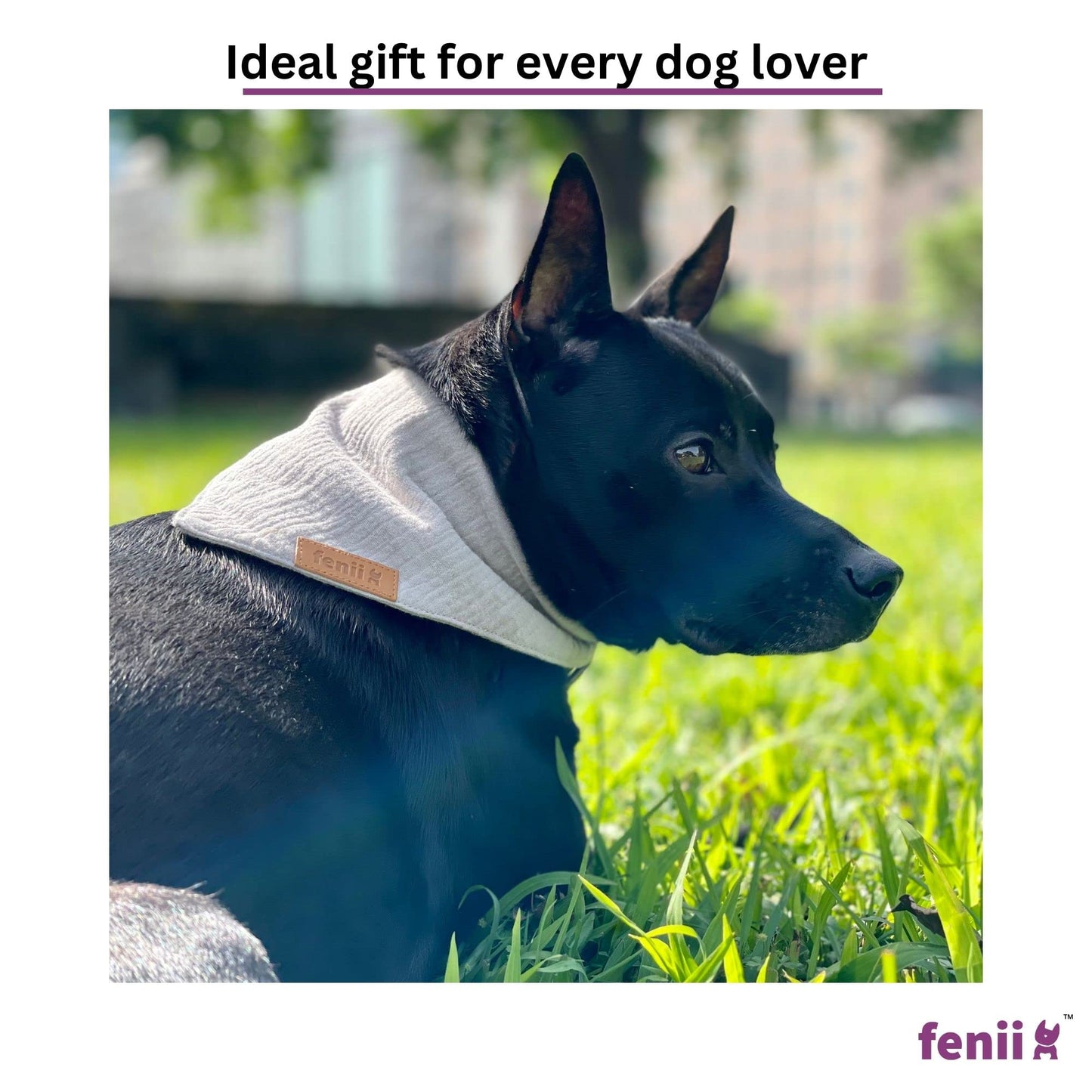 fenii - Premium Cotton Dog Bandanas - 2 Pack - Adjustable Fit - Washable - for Small, Medium & Large Breeds - Girl & Boy Dog Accessories - Multiple Sizes (Bumblebee Yellow & Pebble Gray, X-Large)
