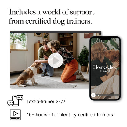 LAY LO Natural Cotton Dog Rope Toys | 18 inch 2-Pack | for Medium and Large Dogs | Includes Live Dog Trainer Support | Durable & Eco-Friendly | Unique Boho Designs with Handle | Puppy Teething Toy