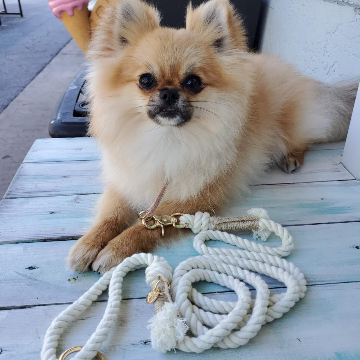 Premium Cotton Rope Leash for Small Puppy Dogs – 5 ft Handcrafted, Cute, Stylish & Durable with 360° Swivel Heavy-Duty Clip – Perfect for Everyday Walks, Training & Weddings – Creamy White