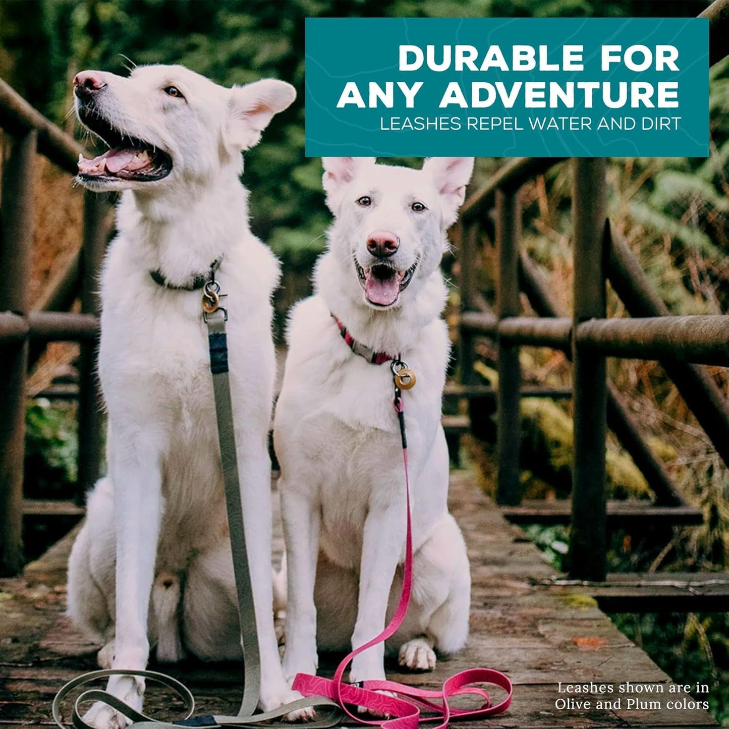 Wilderdog Waterproof Dog Leash - Repels Water & Dirt - Olive