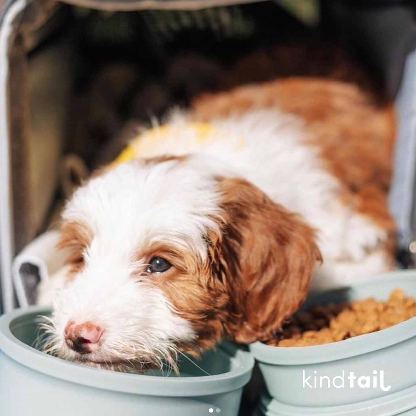KindTail Dog Travel Bowls - Set of 2 Portable Pet Food & Water Dishes with Lid & Handle - Each Nesting Container Includes a Non-Slip Silicone Base - Microwave & Dishwasher Safe - BPA & Toxin-Free