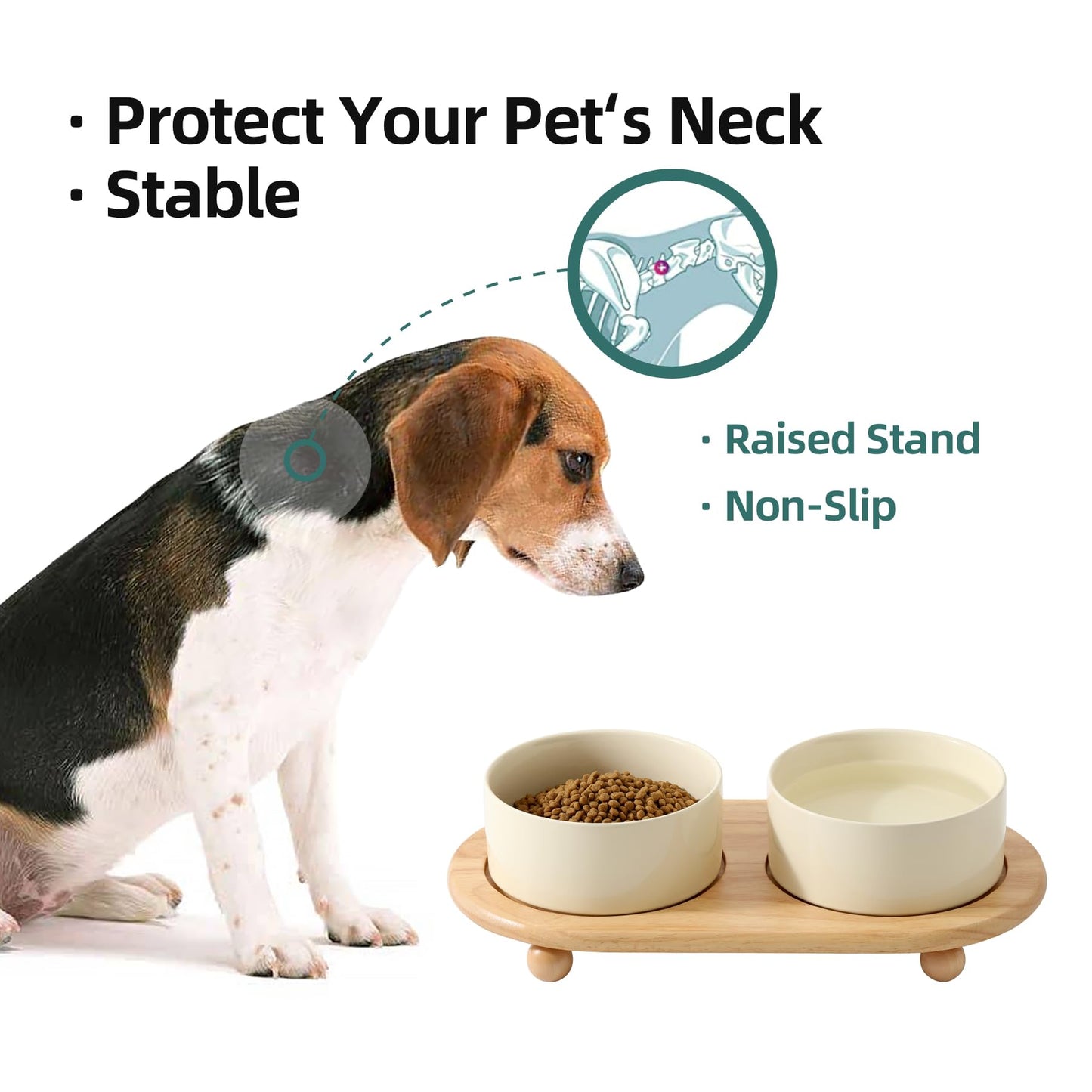 Havniva Ceramic Elevated Dog Bowls, Food and Water Bowls for Dogs, Puppy, Raised Dog Dish, Pet Feeder(6inch, 2 x Beige + Stand)
