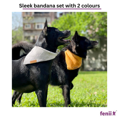 fenii - Premium Cotton Dog Bandanas - 2 Pack - Adjustable Fit - Washable - for Small, Medium & Large Breeds - Girl & Boy Dog Accessories - Multiple Sizes (Bumblebee Yellow & Pebble Gray, X-Large)