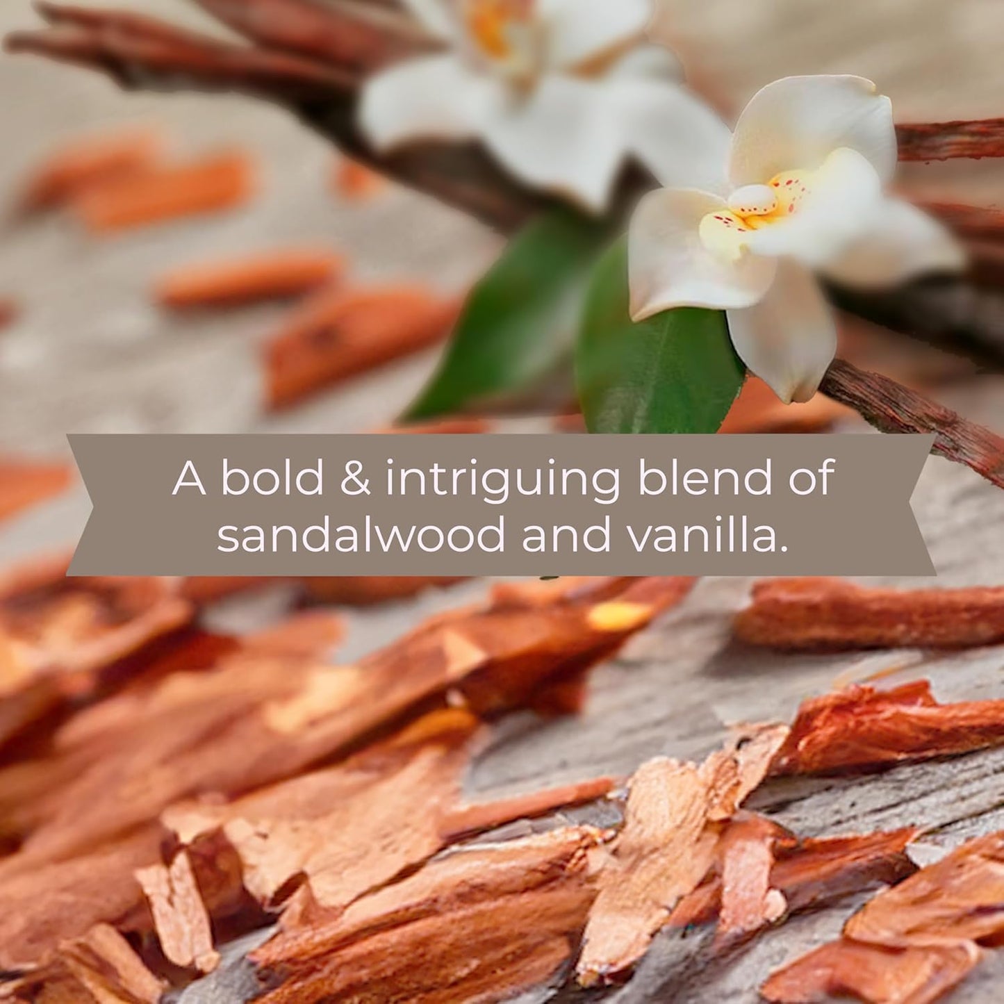 SKOUT'S HONOR Probiotic Grooming Essentials Bundle - Dog of The Woods