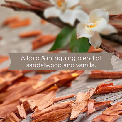 SKOUT'S HONOR Probiotic Grooming Essentials Bundle - Dog of The Woods