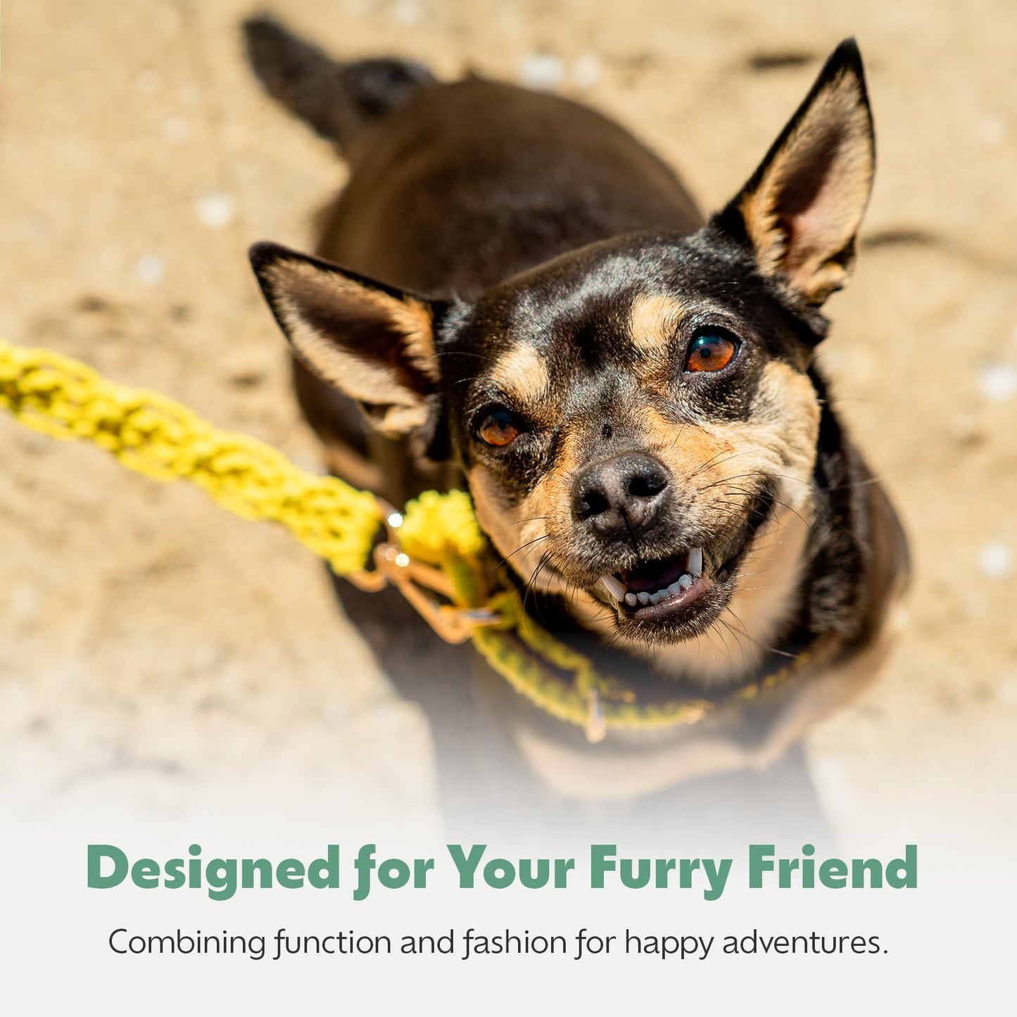 Handmade Macramé Dog Collar, Soft & Padded with Metal Buckle, Adjustable White Collar for Small & Medium Dogs, Lightweight, Eco-Friendly & Durable Design, M