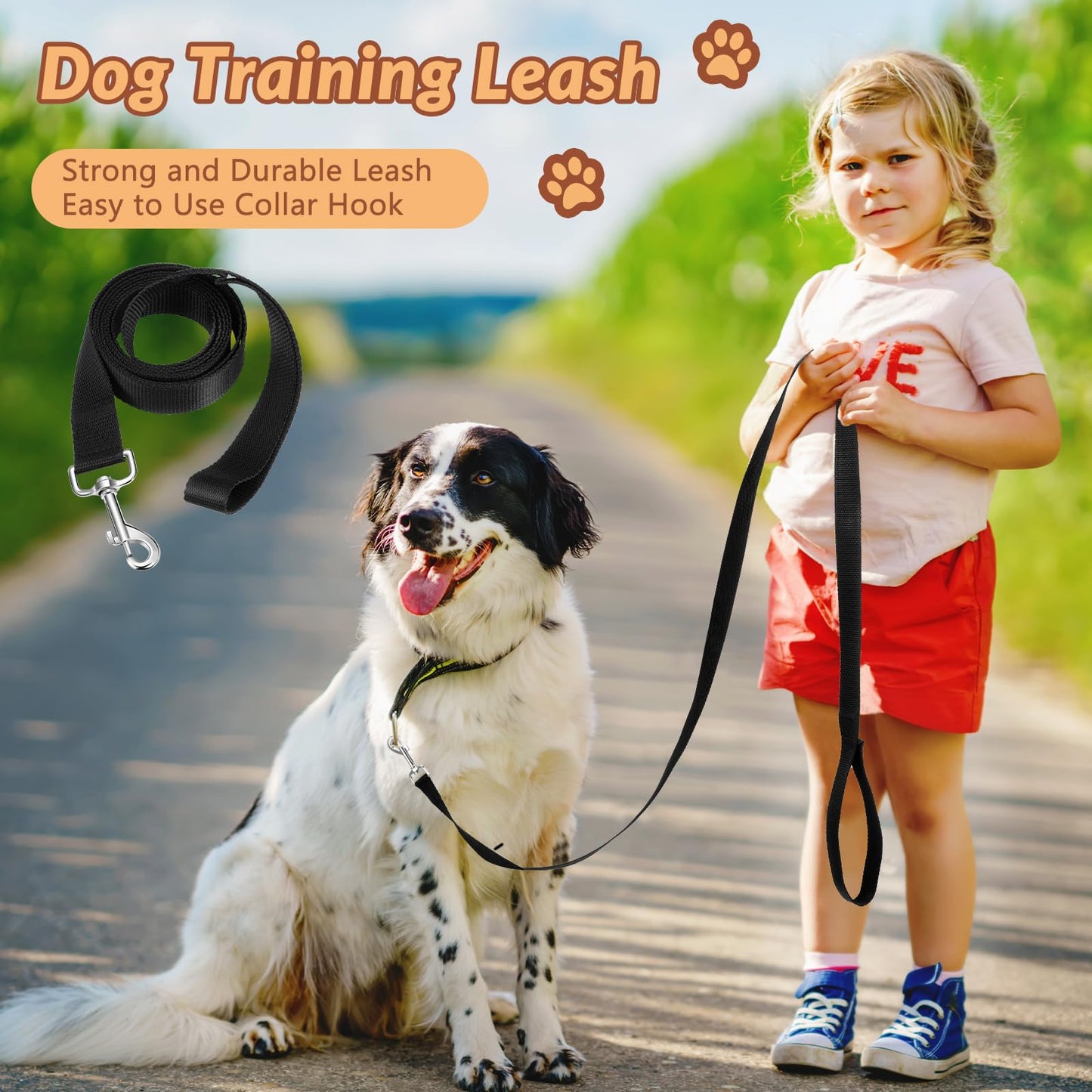 Sanwuta 9 Pack Nylon Dog Training Leash Bulk 6 ft Dog Leash for Small and Medium Puppy Traction Rope for Training, Play, Camping, or Backyard(Black)