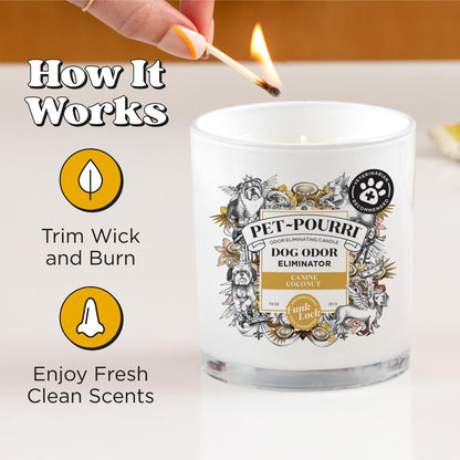 Pet-Pourri Canine Coconut Dog Deodorizer Candle – Puppy & Dog Safe – Plant Based Ingredients & Wax – Vet Approved – Aromatherapy & Air Freshener for Pet Odor – Scented with Bamboo, Jasmine & Pear