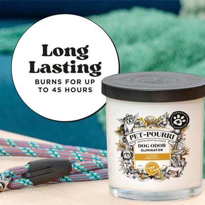 Pet-Pourri Canine Coconut Dog Deodorizer Candle – Puppy & Dog Safe – Plant Based Ingredients & Wax – Vet Approved – Aromatherapy & Air Freshener for Pet Odor – Scented with Bamboo, Jasmine & Pear