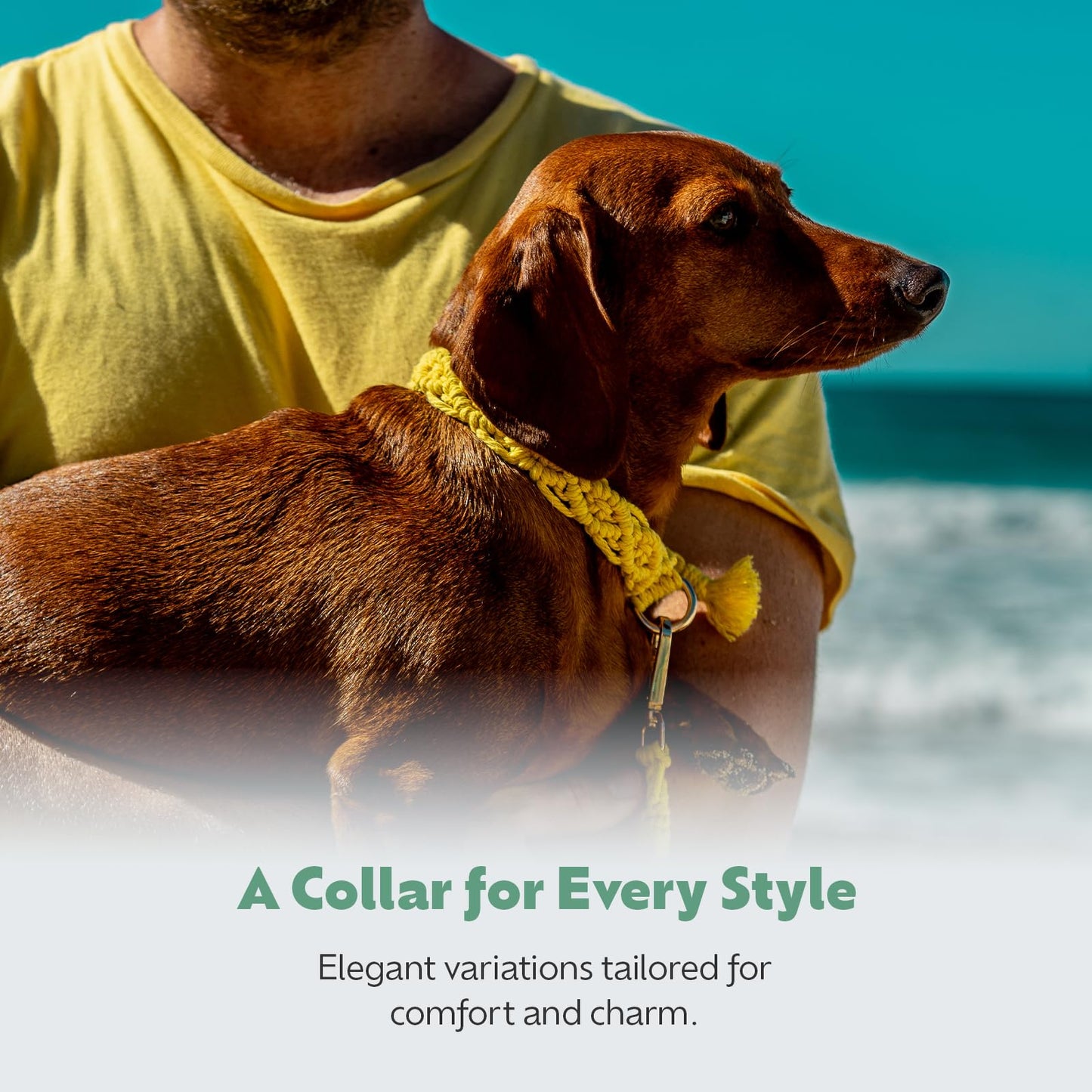 Handmade Macramé Dog Collar, Soft & Padded with Metal Buckle, Adjustable White Collar for Small & Medium Dogs, Lightweight, Eco-Friendly & Durable Design, M