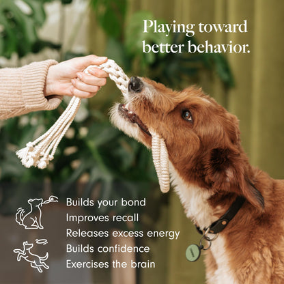 LAY LO Natural Cotton Dog Rope Toys | 18 inch 2-Pack | for Medium and Large Dogs | Includes Live Dog Trainer Support | Durable & Eco-Friendly | Unique Boho Designs with Handle | Puppy Teething Toy