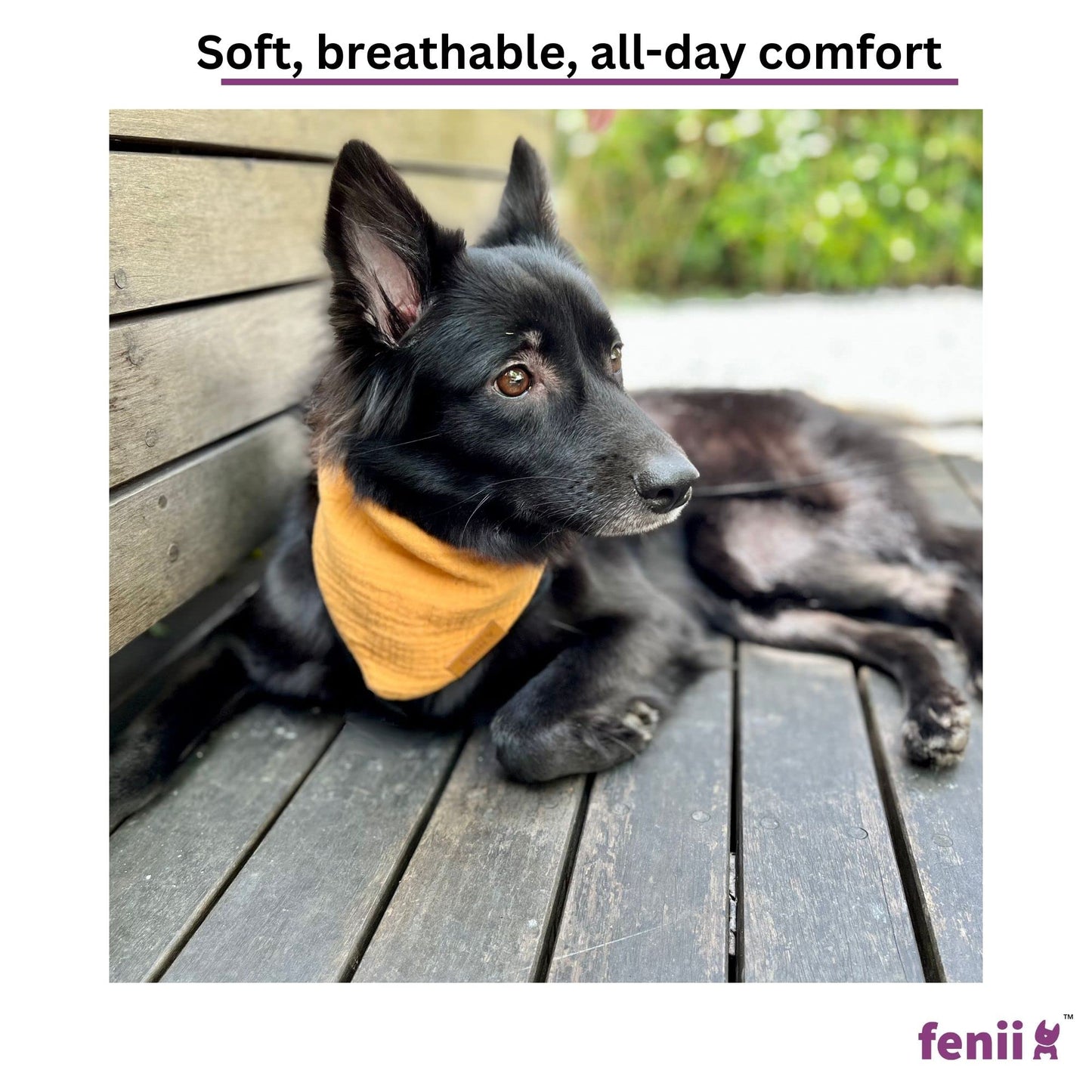 fenii - Premium Cotton Dog Bandanas - 2 Pack - Adjustable Fit - Washable - for Small, Medium & Large Breeds - Girl & Boy Dog Accessories - Multiple Sizes (Bumblebee Yellow & Pebble Gray, X-Large)