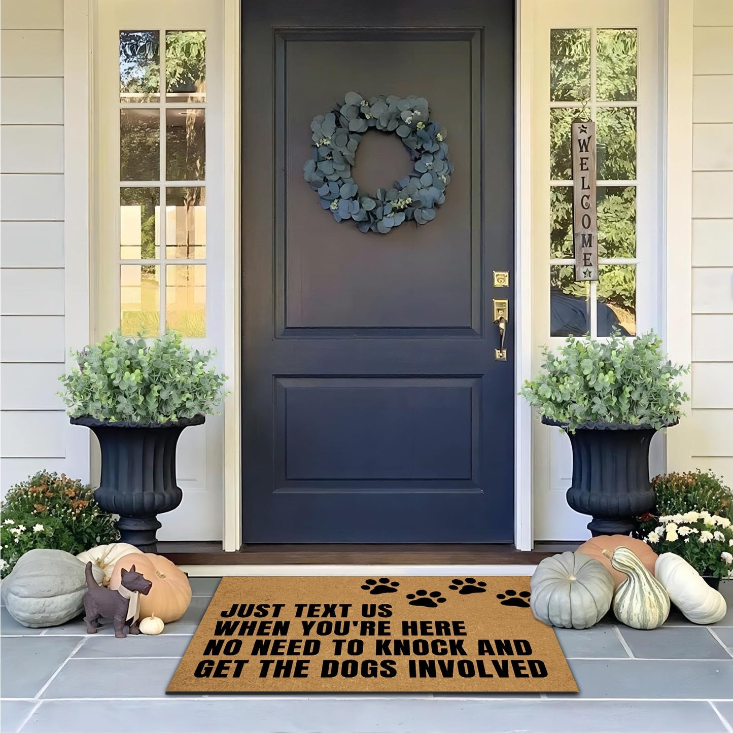 Ayatow Door Mats Inside Indoor Non Slip for Outside Funny, Just Text Us When You're Here No Need to Knock and Get The Dogs Holiday Doormats for Outdoor Entrance Home 23.6" X 15.7", Front Entry Rugs