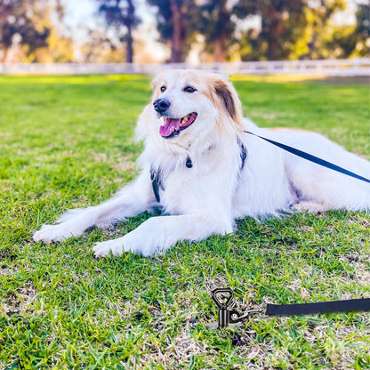 SELEWARE Dog Tie Out Stake Outdoor Anti-Rust Ground Anchor for Large Dogs up to 220 lbs, Free Swivel Dog Stake Dog Camping Gear Twist Rod Included