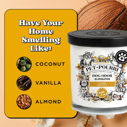 Pet-Pourri Canine Coconut Dog Deodorizer Candle – Puppy & Dog Safe – Plant Based Ingredients & Wax – Vet Approved – Aromatherapy & Air Freshener for Pet Odor – Scented with Bamboo, Jasmine & Pear