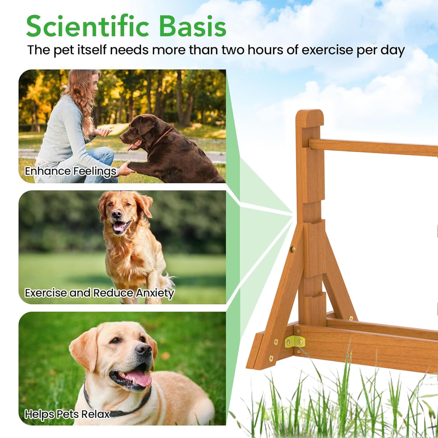 SuniBoxi Dog Agility Set, Wooden Dog Agility Jumps & Dog Hurdles,Dog Agility Equipment, Dog Agility Course,Dog Agility Course Backyard Set,Obstacle Course for Dogs,Dog Hurdles Training Equipment