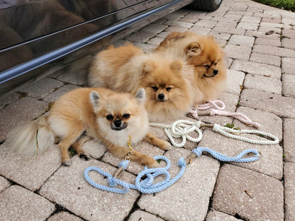 Premium Cotton Rope Leash for Small Puppy Dogs – 5 ft Handcrafted, Cute, Stylish & Durable with 360° Swivel Heavy-Duty Clip – Perfect for Everyday Walks, Training & Weddings – Creamy White
