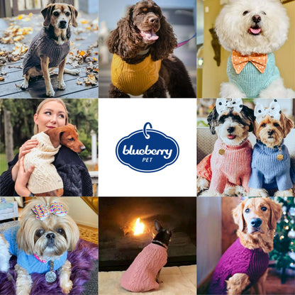 Blueberry Pet Classic Fuzzy Textured Knit Pullover Crew-Neck Dog Sweater in Ivory, Back Length 14", Pack of 1 Clothes for Dogs