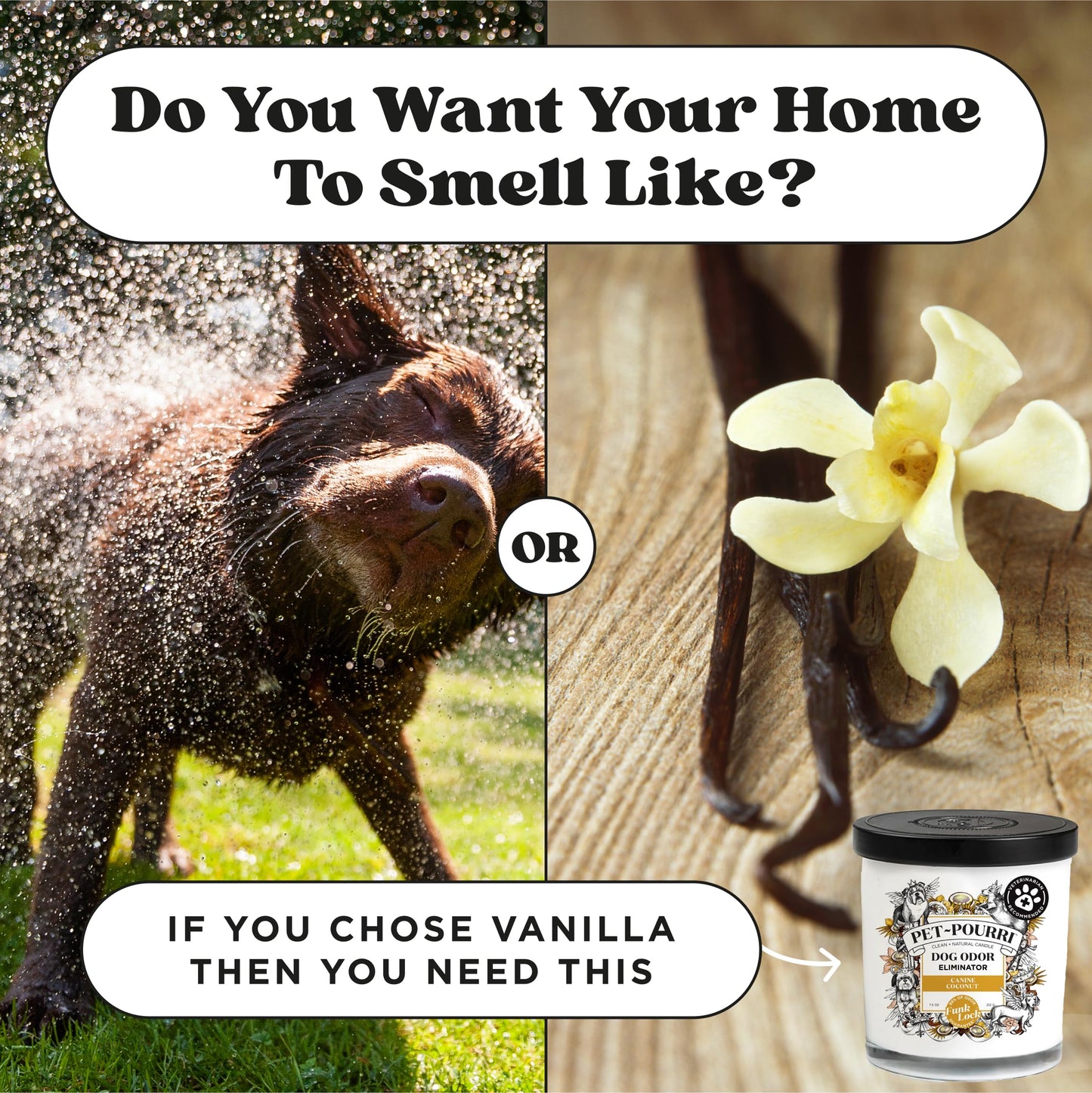 Pet-Pourri Canine Coconut Dog Deodorizer Candle – Puppy & Dog Safe – Plant Based Ingredients & Wax – Vet Approved – Aromatherapy & Air Freshener for Pet Odor – Scented with Bamboo, Jasmine & Pear