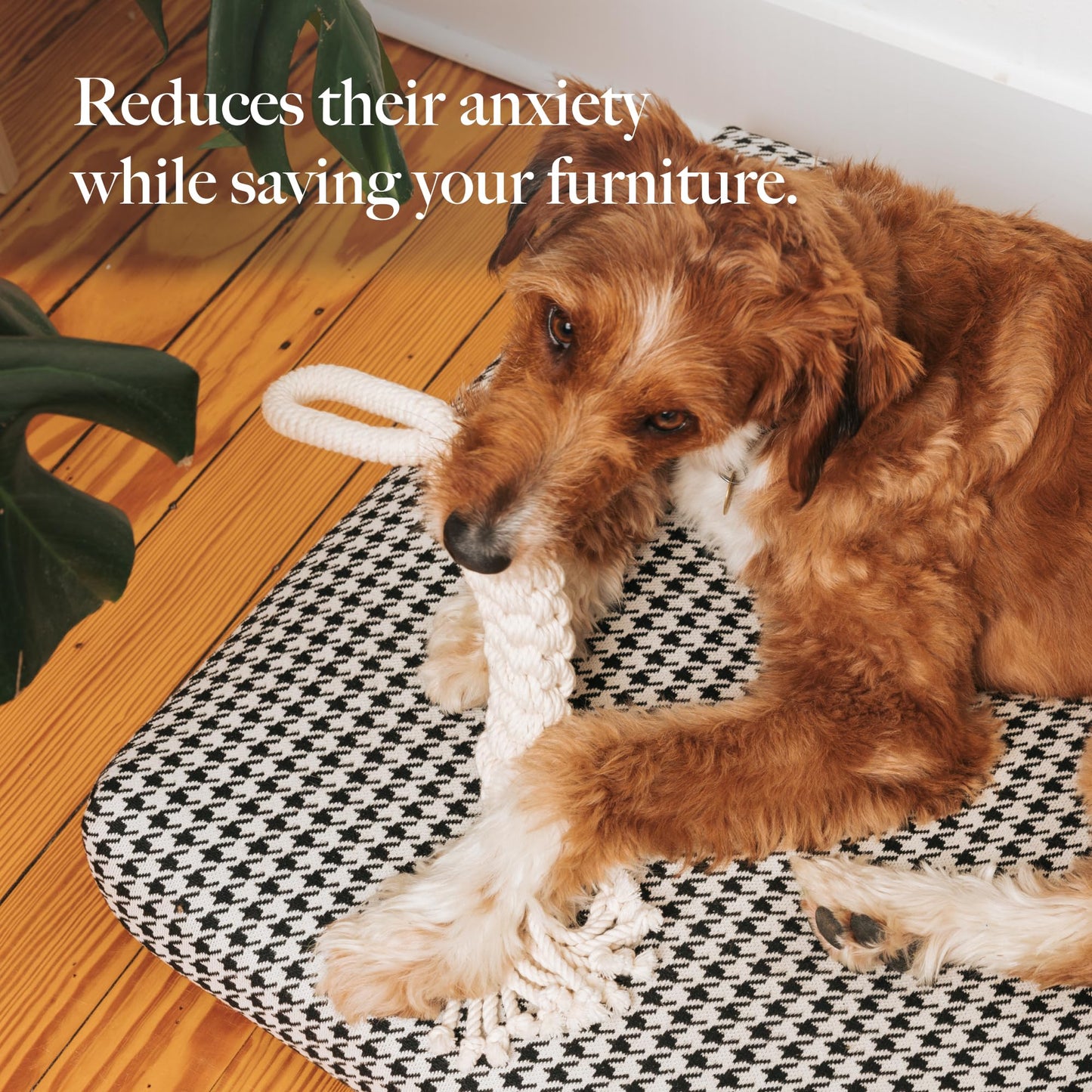 LAY LO Natural Cotton Dog Rope Toys | 18 inch 2-Pack | for Medium and Large Dogs | Includes Live Dog Trainer Support | Durable & Eco-Friendly | Unique Boho Designs with Handle | Puppy Teething Toy