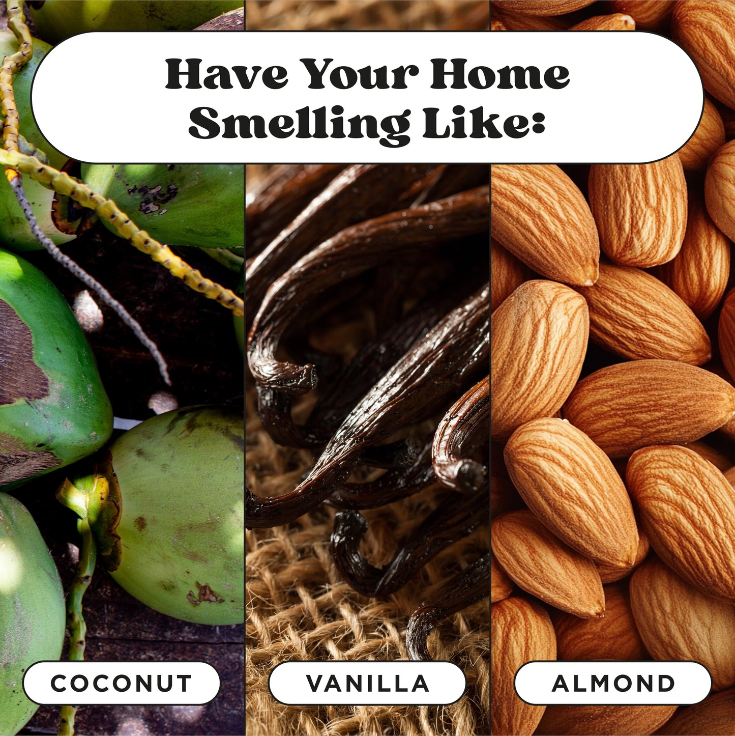 Pet-Pourri Canine Coconut Dog Deodorizer Candle – Puppy & Dog Safe – Plant Based Ingredients & Wax – Vet Approved – Aromatherapy & Air Freshener for Pet Odor – Scented with Bamboo, Jasmine & Pear