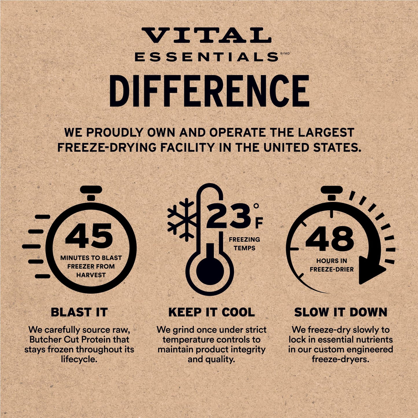 Vital Essentials Minnows Dog Treats, 1 oz | Freeze-Dried Raw | Single Ingredient | Premium Quality High Protein Training Treats | Grain Free, Gluten Free, Filler Free