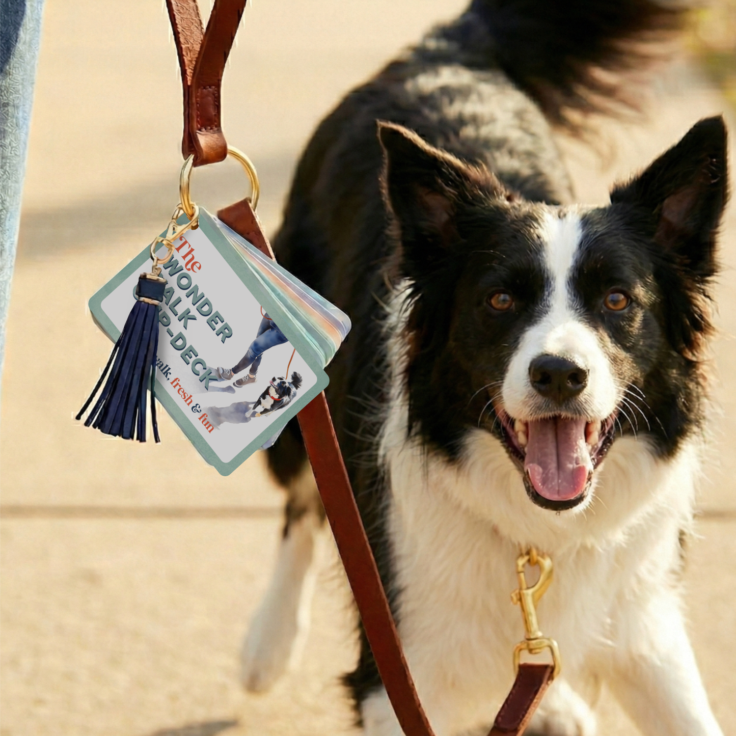 🐾 COMING SOON 🐾 The Wonder Walk Clip-Deck | Leash Attachment for Dog Enrichment