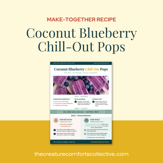 Make Together Recipe - Coconut Blueberry Chill-Out Pops