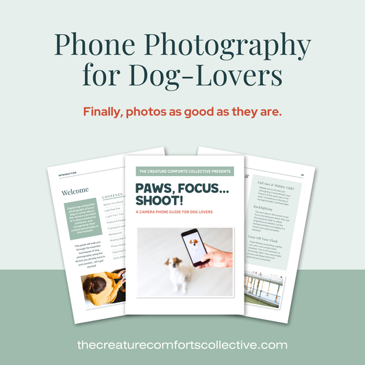 Paws, Focus, Shoot! Photography Guide for Dog-Lovers