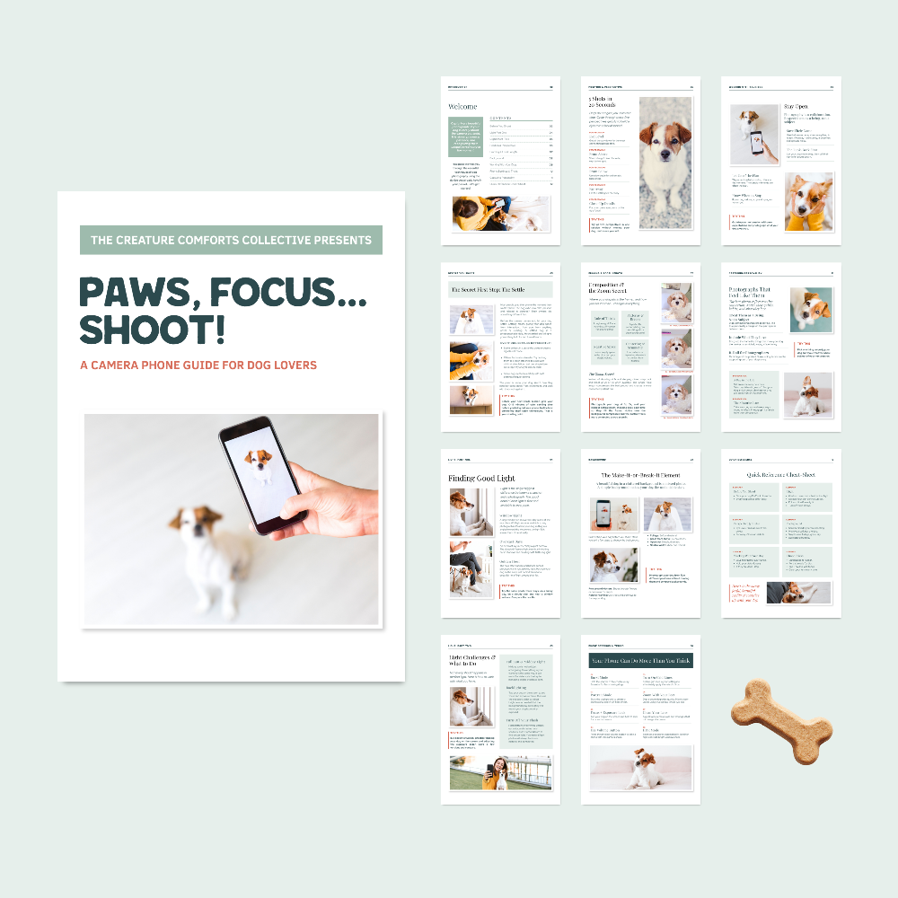 Paws, Focus, Shoot! Photography Guide for Dog-Lovers