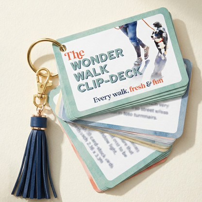 🐾 COMING SOON 🐾 The Wonder Walk Clip-Deck | Leash Attachment for Dog Enrichment